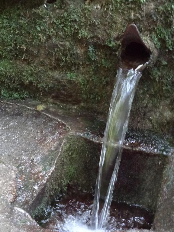 Dia Apartman Miskolc Exteriör bild